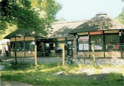 Kiosk & Restaurant